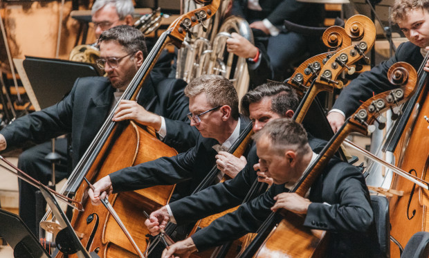 doublebass group of NOSPR